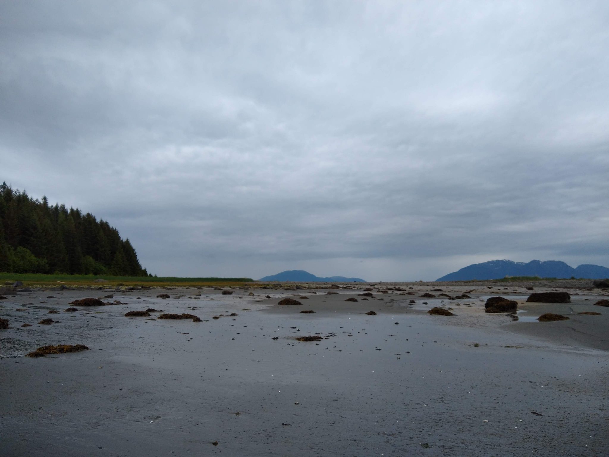 A beach at low tide with sand and rocks, there are forested, green hills around it. It's a gray, rainy day, the picture is very dark on a visit to glacier bay national park