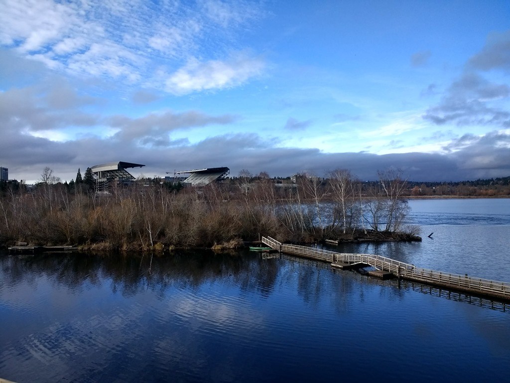 Bare winter trees on a small island in a lake with a path on a bridge going to it. A stadium is visible behind the trees. There is blue sky and clouds