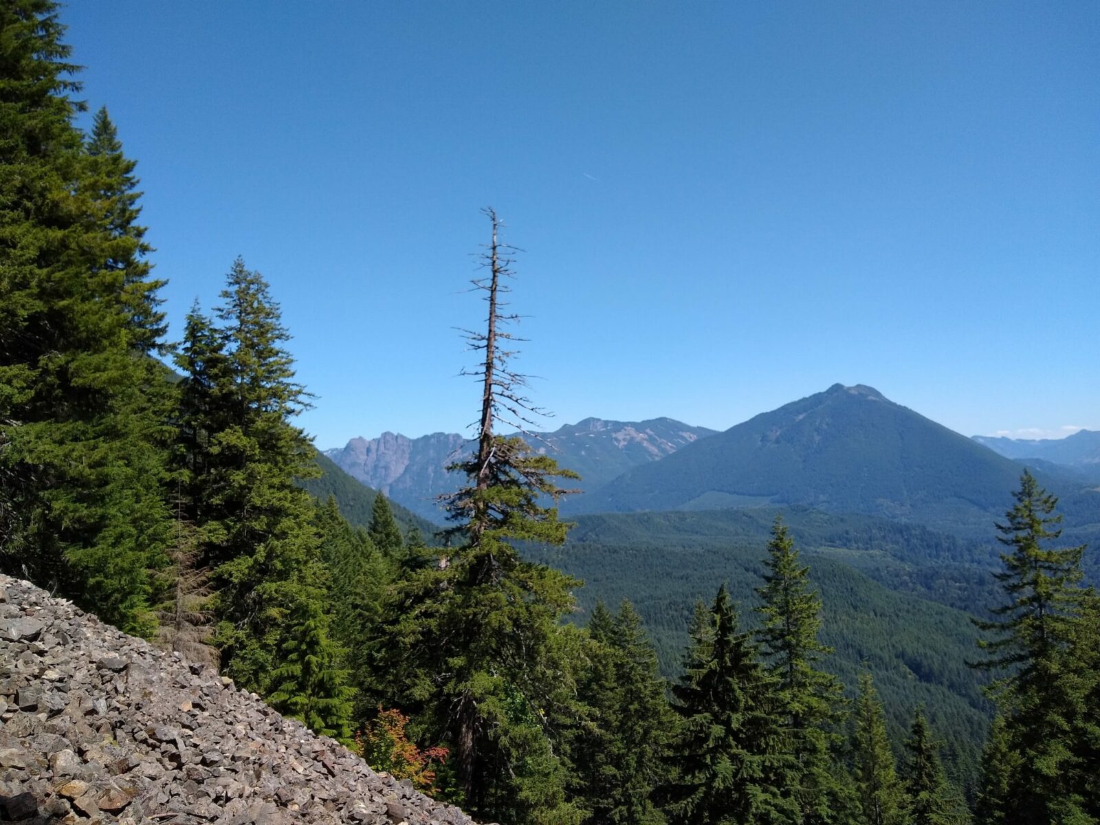 On the talus loop hike, the trail crosses a rock field. The rock field is in the foreground and evergreen trees in the background. in the distance are forested hills and higher mountains