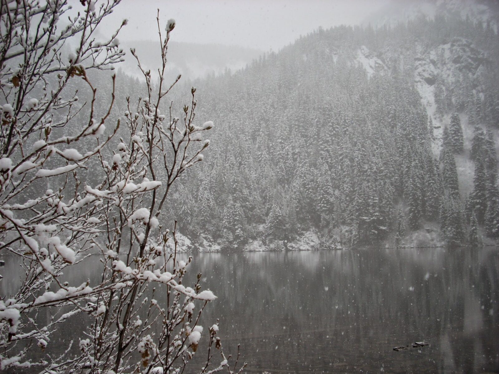 Annette Lake is an alpine lake near Snoqualmie Pass. Here the lake is receiving its first snowfall of the year. Visibility is low and you can see big white flakes fallign on the lake and forest. Snowy evergreen trees are seen across the lake