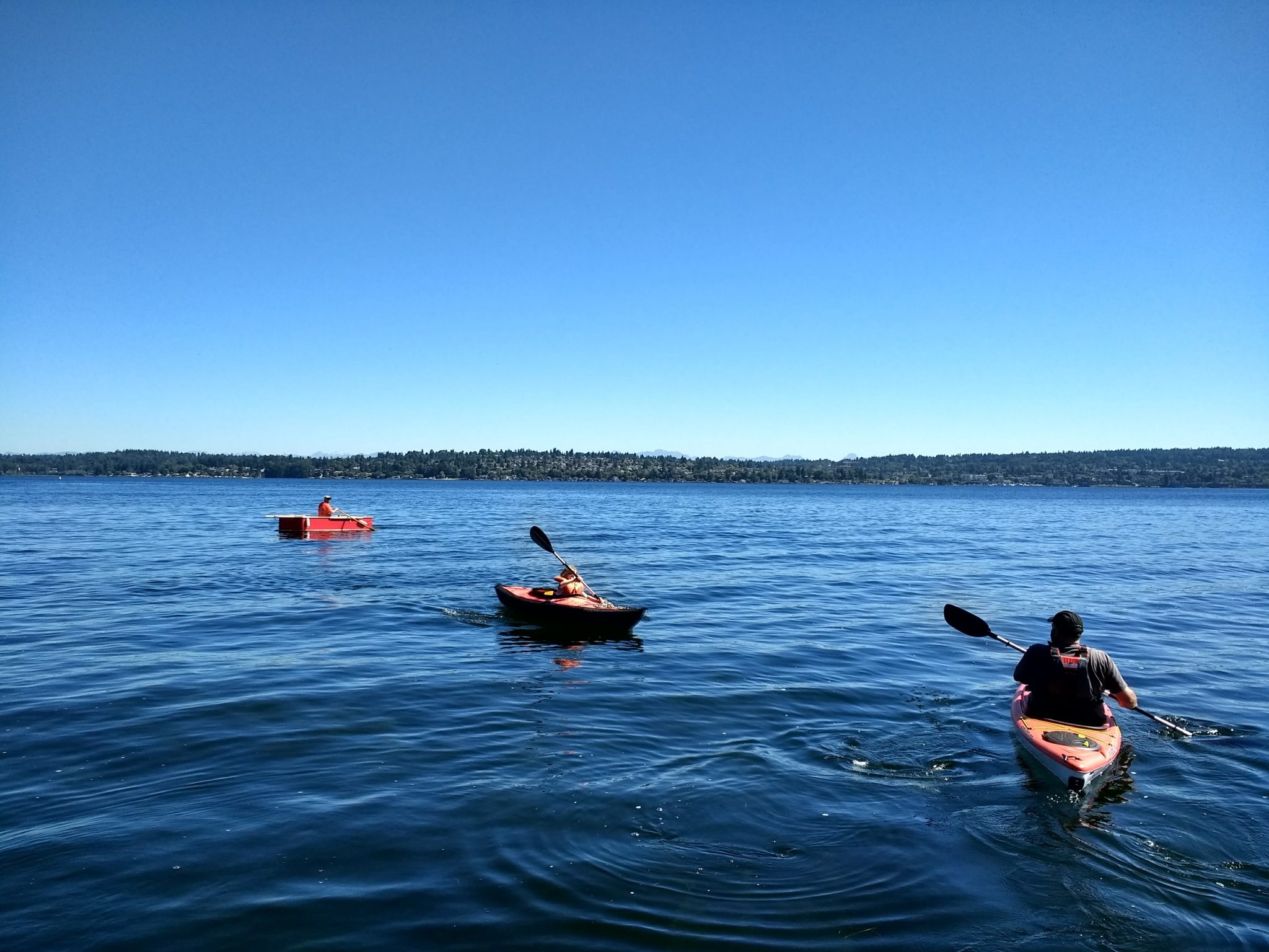 Two kayakers and a rowboater are in on a lake on a sunny day. The boats are facing in different directions. There is a forested hill with houses in the background