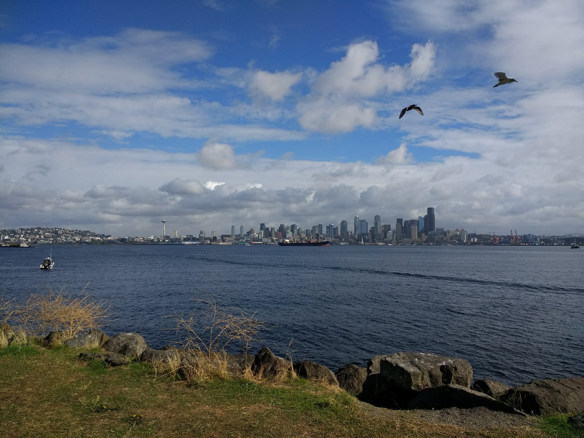 The Seattle skyline is seen from a distance across the water. There is a tanker ship in the harbor as well as a sailboat. There are two birds flying against a blue and cloudy sky. In the foreground on the shore there are rocks and grass