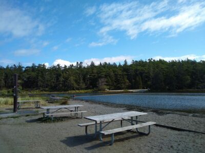 Three picnic tables in the sand next to a lake that is surrounded by forest on a sunny day.