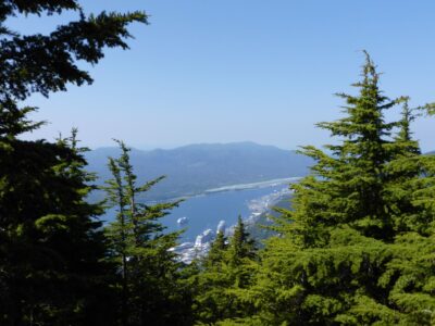 A sunny day in Ketchikan Alaska. The town is seen far below a local mountain, Deer mountain. In the foreground are evergreen trees framing the town with three cruise ships far below. Forested hillsides are in the background