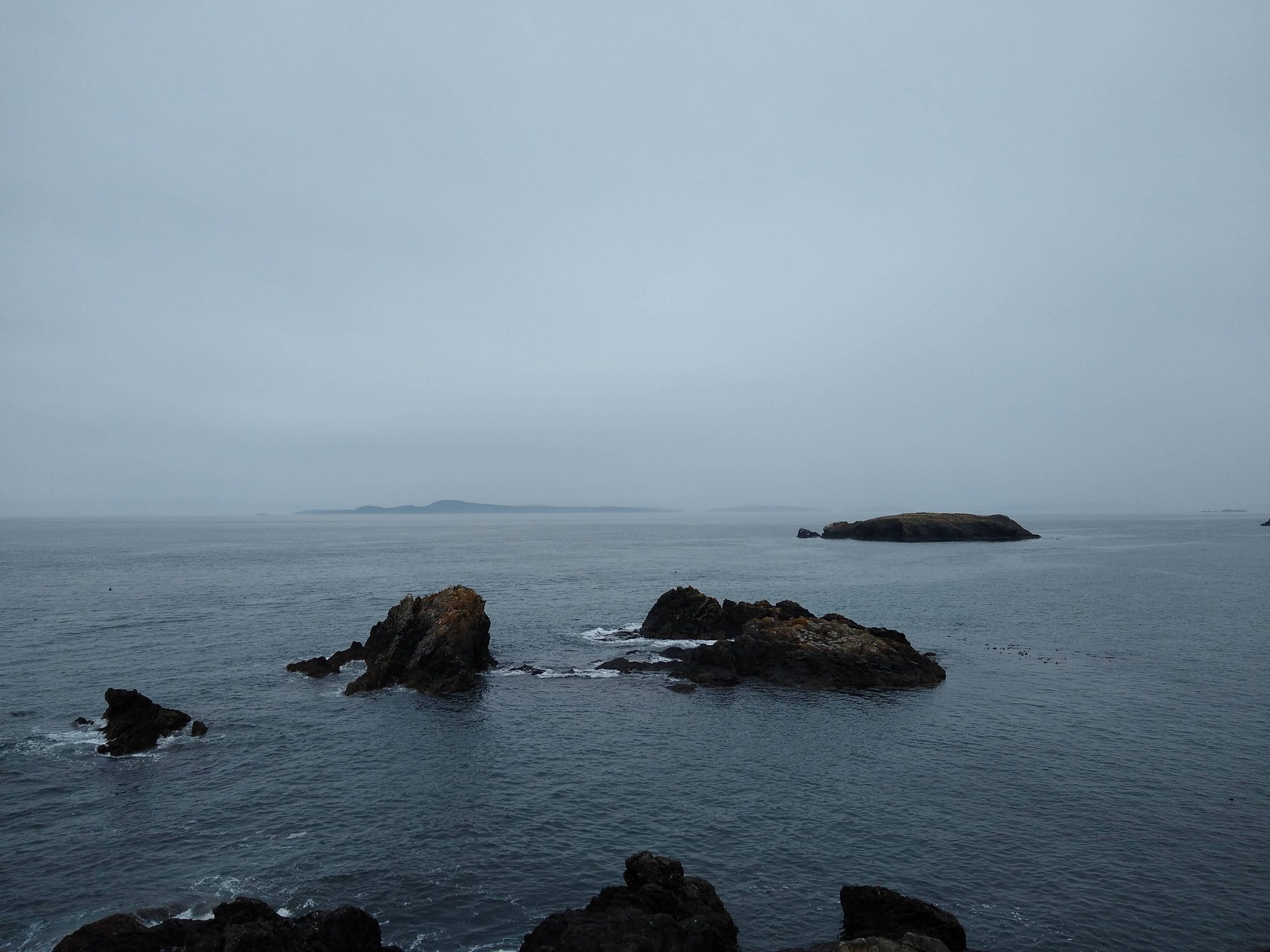 Small rocky islands in the water in Deception Pass state park. The sky and water are gray and foggy.