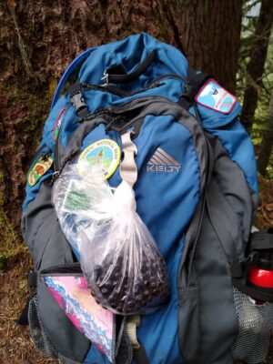 A blue and black backpack with patches on it. A plastic bag full of ripe huckleberries is tied to the outside