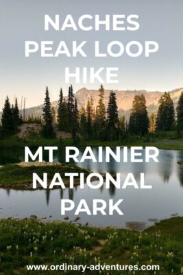 A small, shallow pond at sunset. Around the pond is a green meadow with wildflowers, mostly white ones. There are evergreen trees behind the pond and in the distance steeper mountains. Text reads: Naches Peak loop hike Mt Rainier National Park