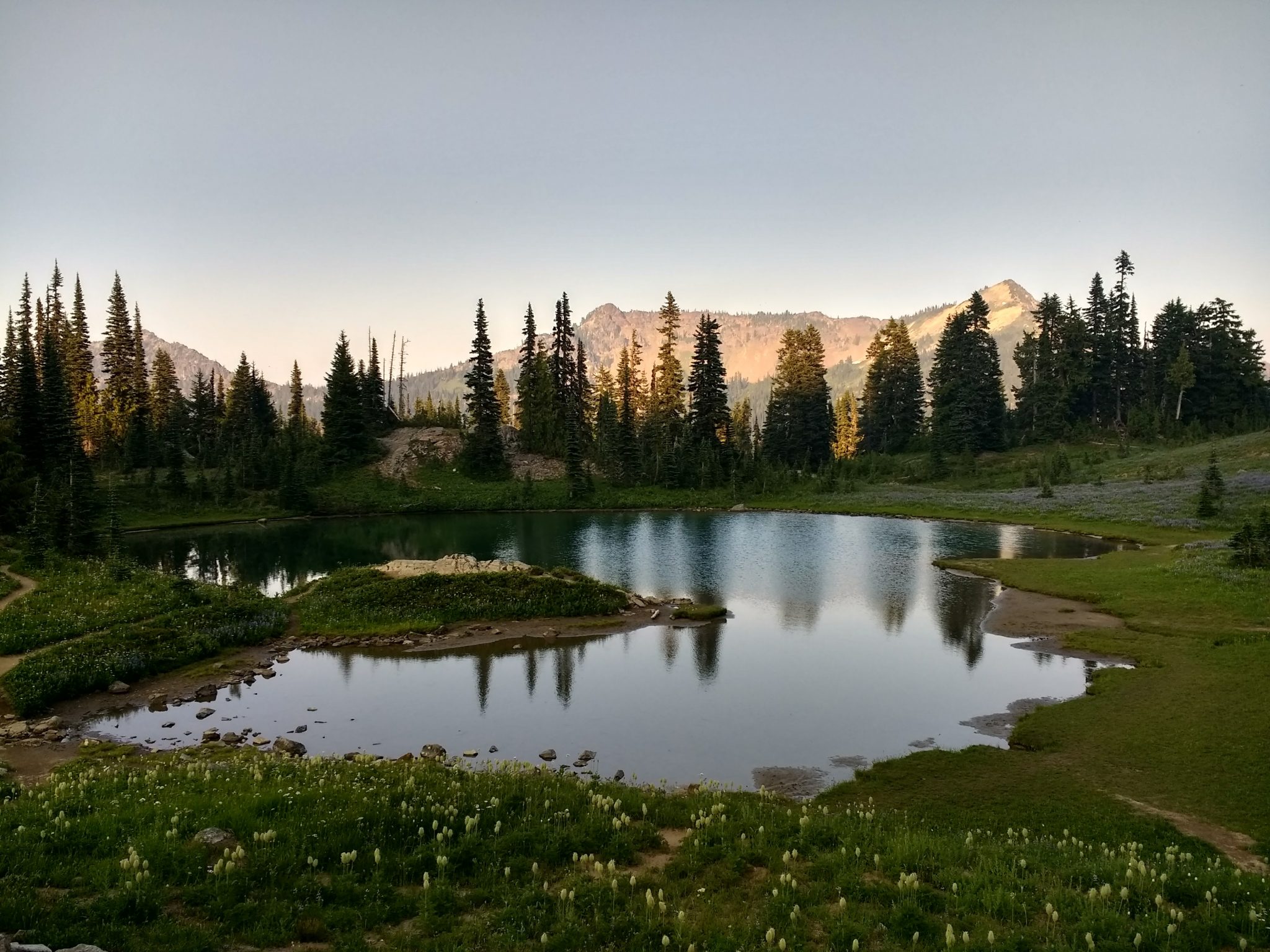 A small, shallow pond at sunset. Around the pond is a green meadow with wildflowers, mostly white ones. There are evergreen trees behind the pond and in the distance steeper mountains