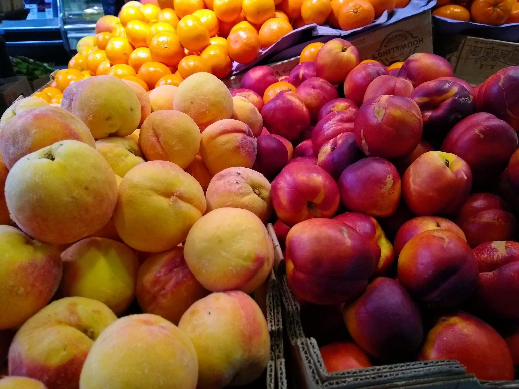 Yellow peaches are in a box to the left and red orange nectarines are in a box next to them at a market.