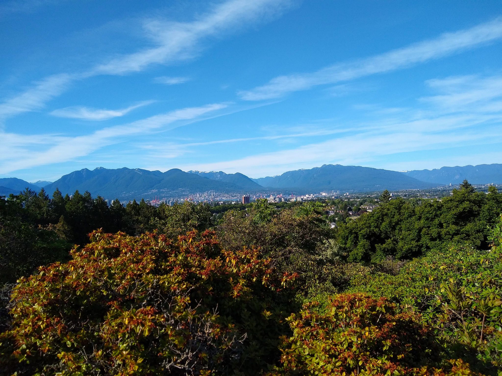 Trees in the foreground and city buildings in the background with forested hills and mountains in the distance