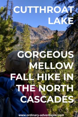 A person with a red shirt, blue backpack and beige hat looks at a distant mountain. The person is surrounded by pine trees. In the distance are higher mountains and some orange fall color trees. Text reads: Cutthroat Lake Gorgeous mellow fall hike in the North Cascades