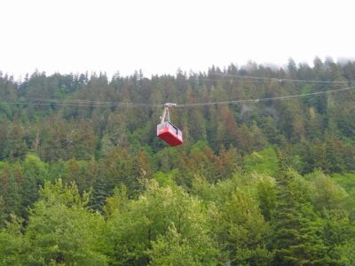 A red tram car hangs from a wire going up the side of a forested mountain on a foggy day