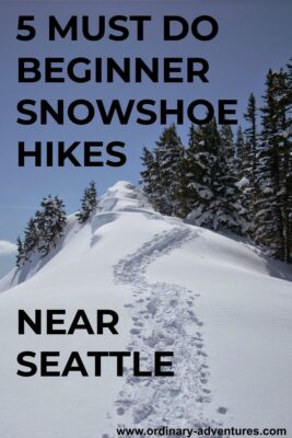  New snow surrounding distant mountains and nearby trees, with a winding snowshoe path to a point. Text reads: 5 Must do beginner snowshoe hikes near Seattle