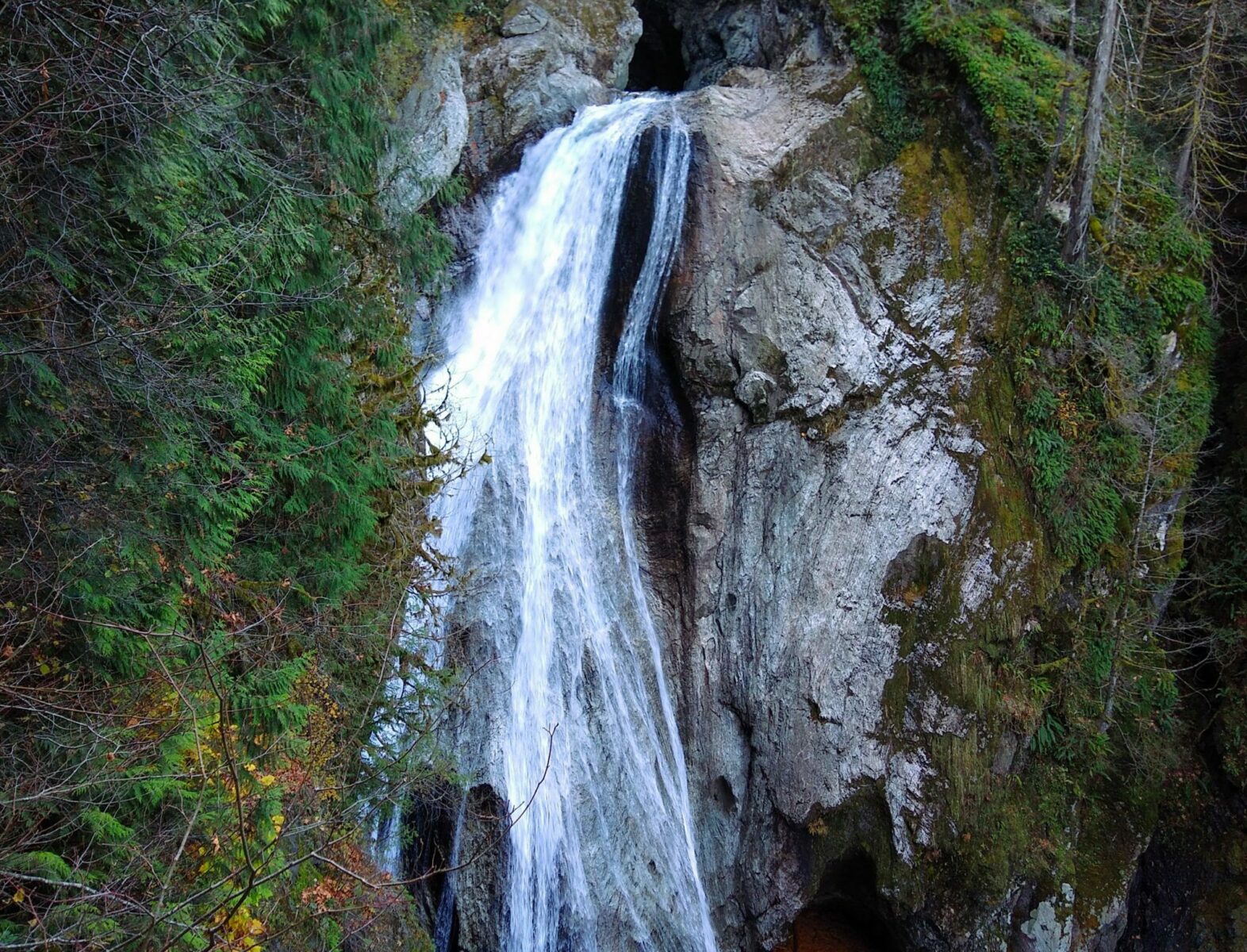 A wide and high waterfall cascades over a vertical rock face. There are trees and green shrubs around it