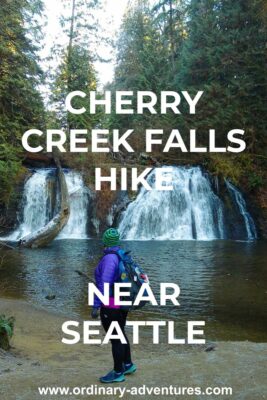 A person At the end of the Cherry Creek Falls hike is gorgeous Cherry Creek Falls. It has two sides that plunge over a rock into a pool below. The waterfall is surrounded by evergreen trees and ferns. Text reads: Cherry Creek Falls hike near Seattle