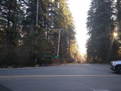 A road intersection in the forest showing the trailhead for the Cherry Creek Falls hike