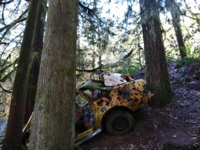 An old, yellow, rusty car wedged between three trees along the side of a trail.