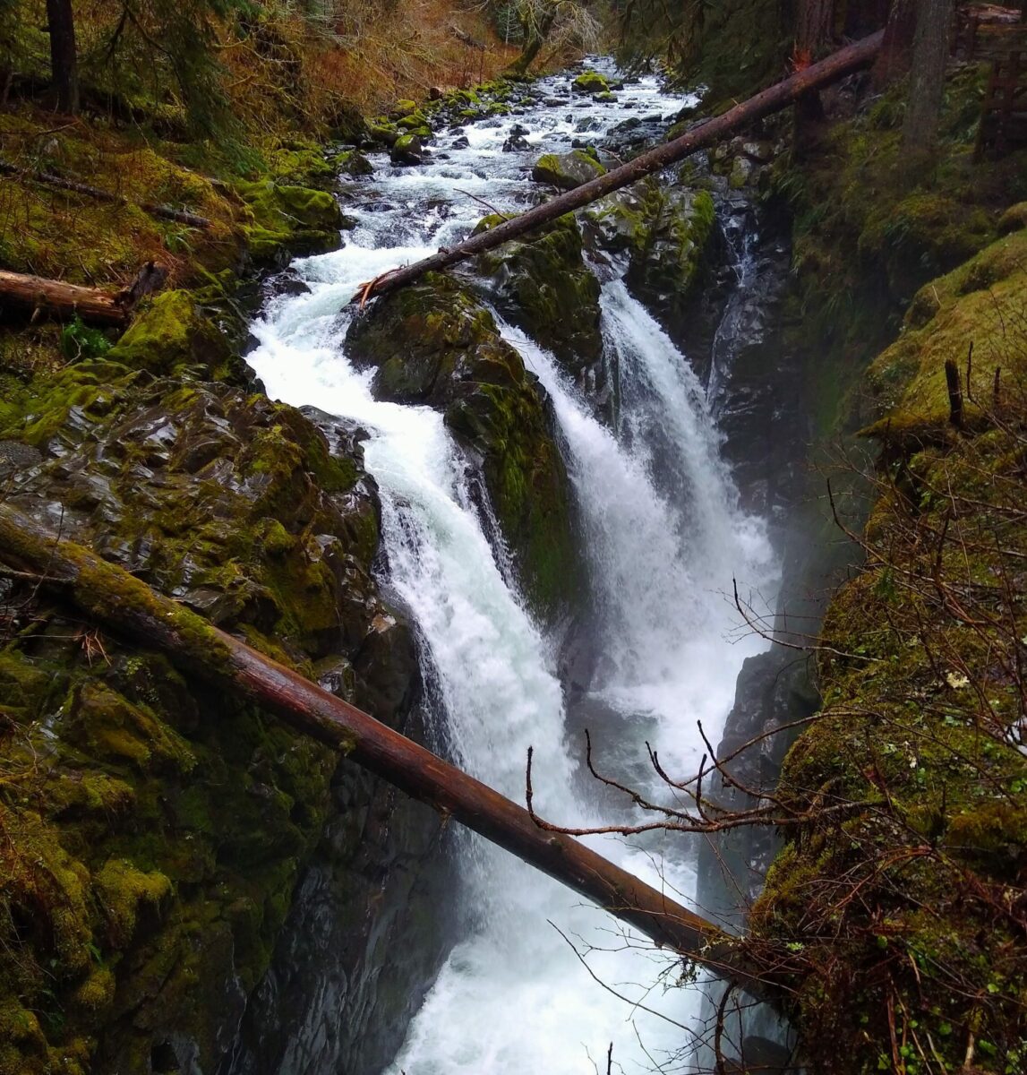 A three tiered waterfall goes into a narrow rock canyon surrounded by moss and forest