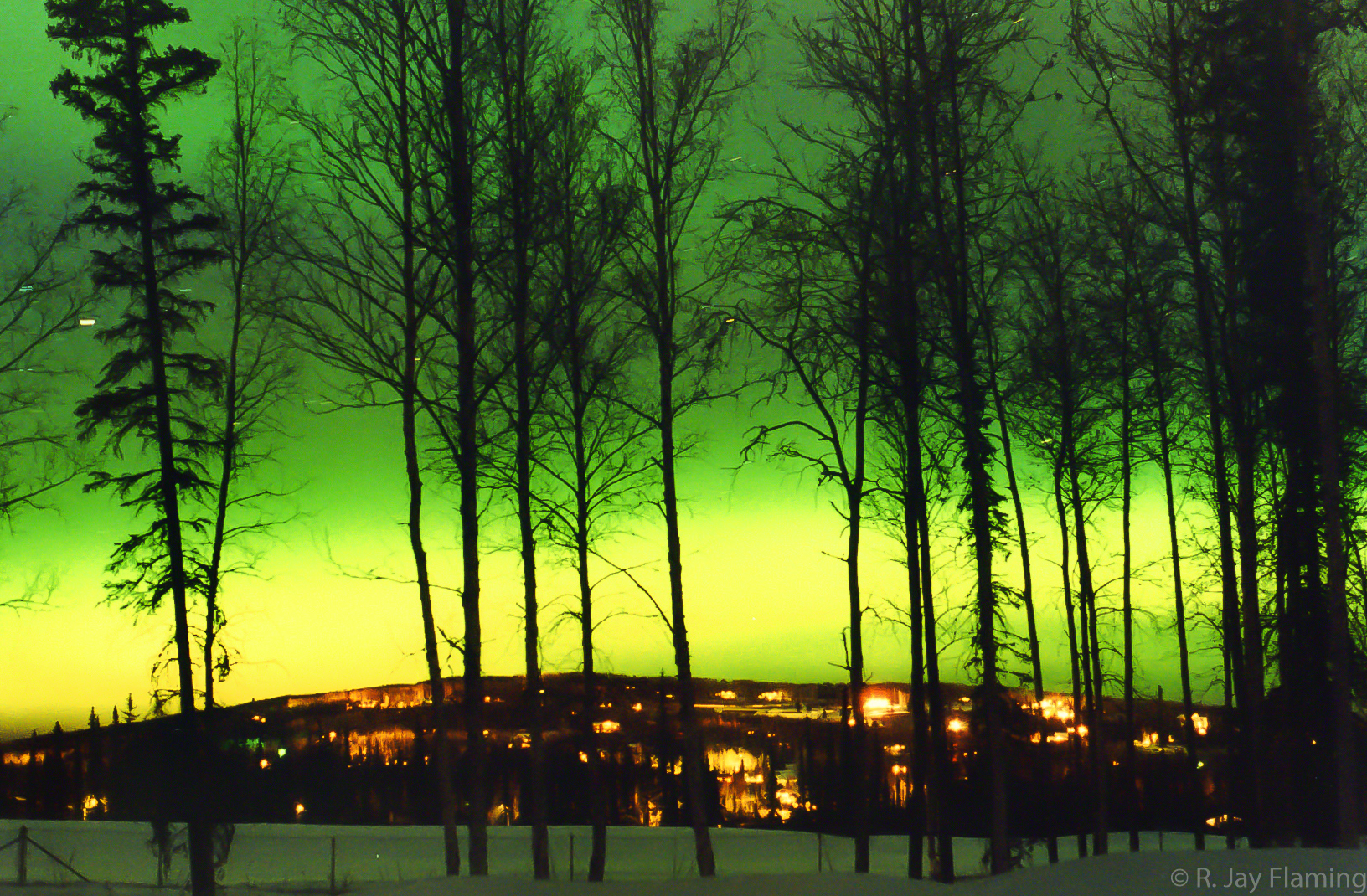 The Northern Lights in Fairbanks above a snow covered golf course in winter. Trees are silouetted in the foreground and lights from houses are seen on a hillside in the background.