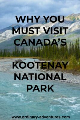 Blue water of the Kootenay River rushes by gravel bars and trees in a valley between high mountains in Kootenay National Park. Text reads: Why you must visit Canada's Kootenay National Park