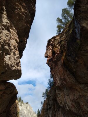 A narrow piece of sky is seen at the top of a steep rock canyon with a few trees in Kootenay National Park