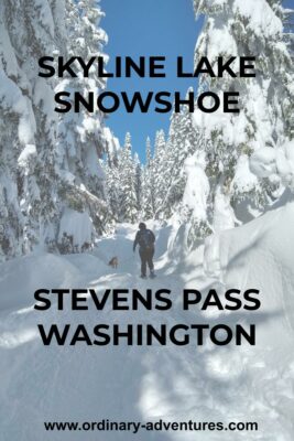A person and a dog on a snowshoe trail. The sky is blue and they are surrounded by snow covered evergreen trees. Text reads: Skyline Lake Snowshoe Stevens Pass Washington