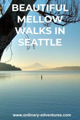A lake with Mt Rainier's silouette at dusk. A tree is in the foreground. Text reads: Beautiful mellow walks in Seattle