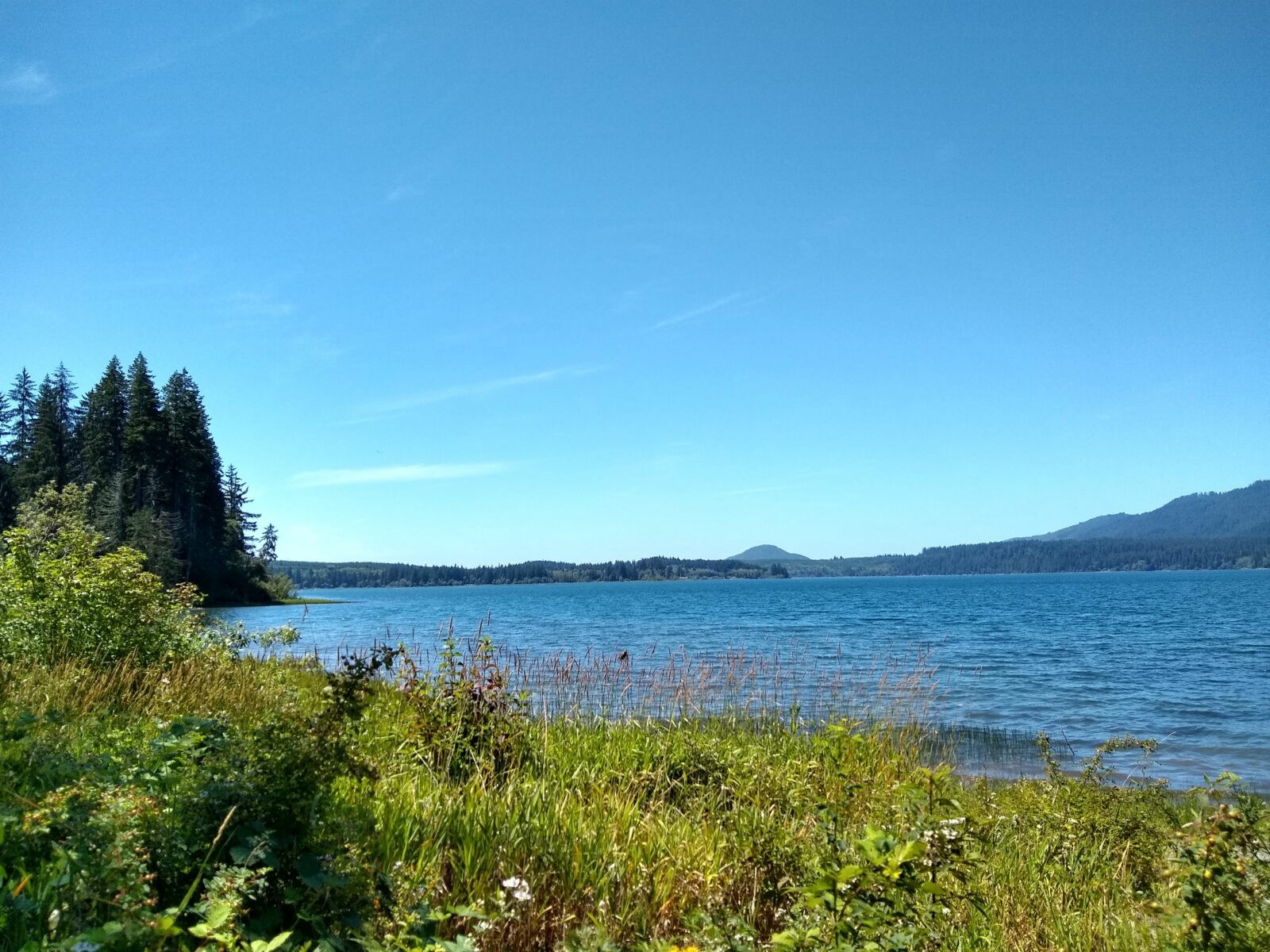 A large deep blue lake with shrubs and forest around it on a sunny day