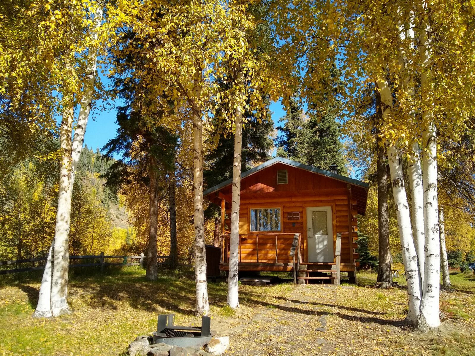 One of the most unique things to do in Fairbanks is to stay at one of Alaska's many public use cabins. A small wooden cabin in golden birch trees with a firepit in front