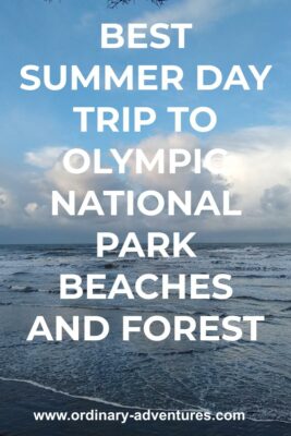 An ocean beach on a sunny day with big white clouds on the horizon. Text reads: Best Summer day trip to olympic national park beaches and forest