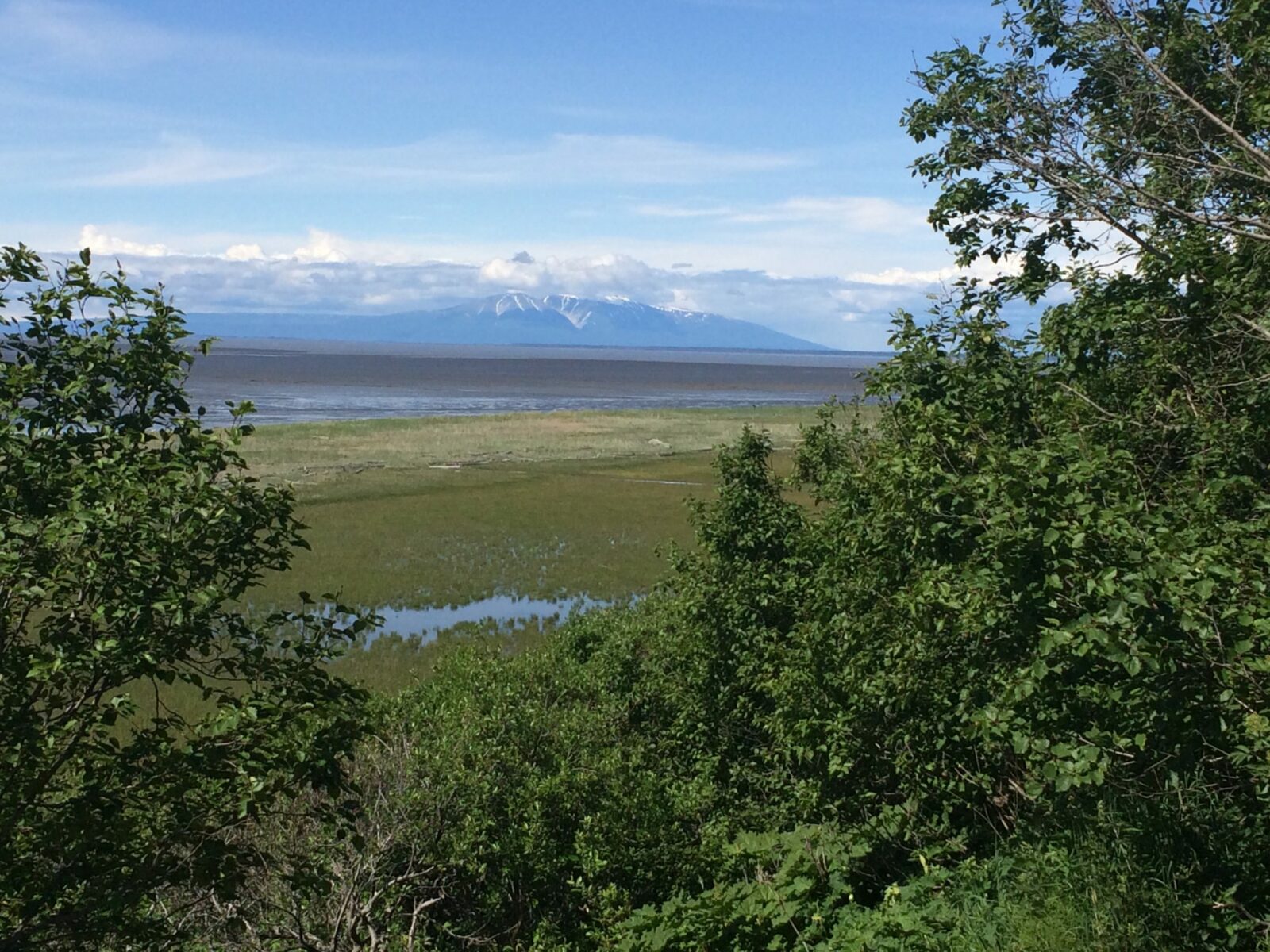 One of the best things to do in Anchorage is walk or bike the coastal trail which goes along the water and tideflats in Anchorage. Distant mountains and clouds can be seen across the water. Trees and bushes are in the foreground