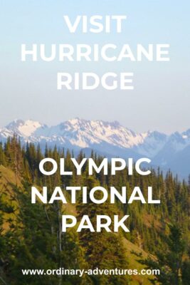 A tree covered hillside in the foreground and high snow capped mountains in the background. Text reads Visit Hurricane Ridge Olympic National Park