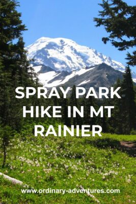 White wildflowers in a green meadow are in the foreground surrounded by evergreen trees. In the distance is a clear view of Mt Rainier on a sunny day. Text reads: Spray Park hike in Mt Rainier