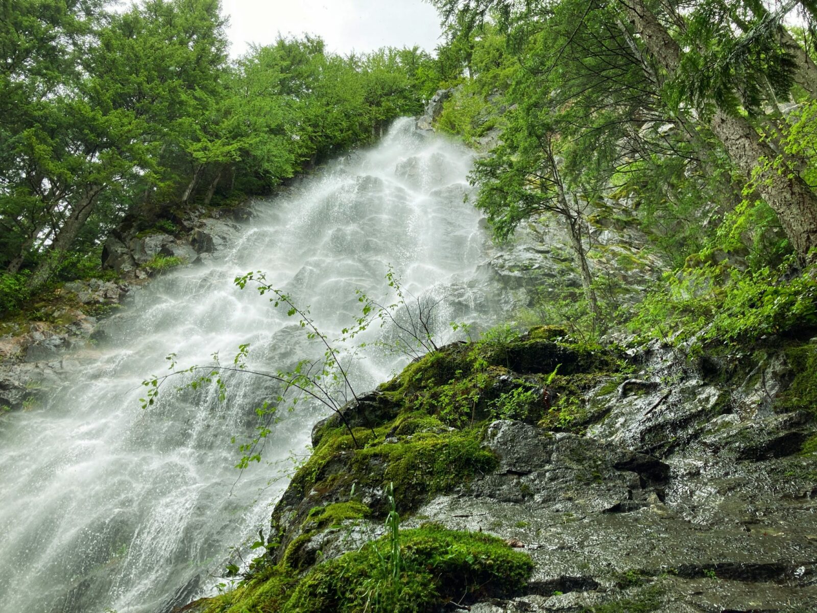 Looking up from the base of a steep waterfall with water and spray coming down a steep rock face. There are rocks and trees surrounding it