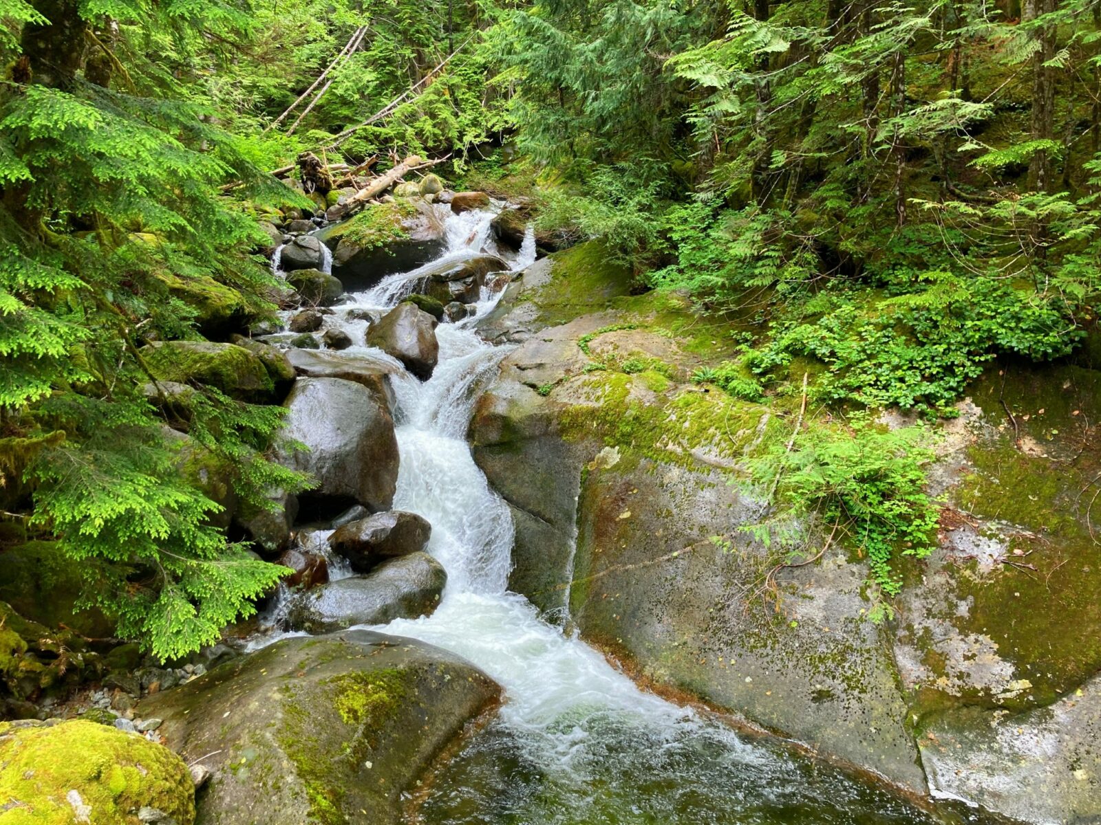 A mini waterfall over and between rocks and moss in an evergreen forest along the Snoqualmie Lake Trail to Otter Falls