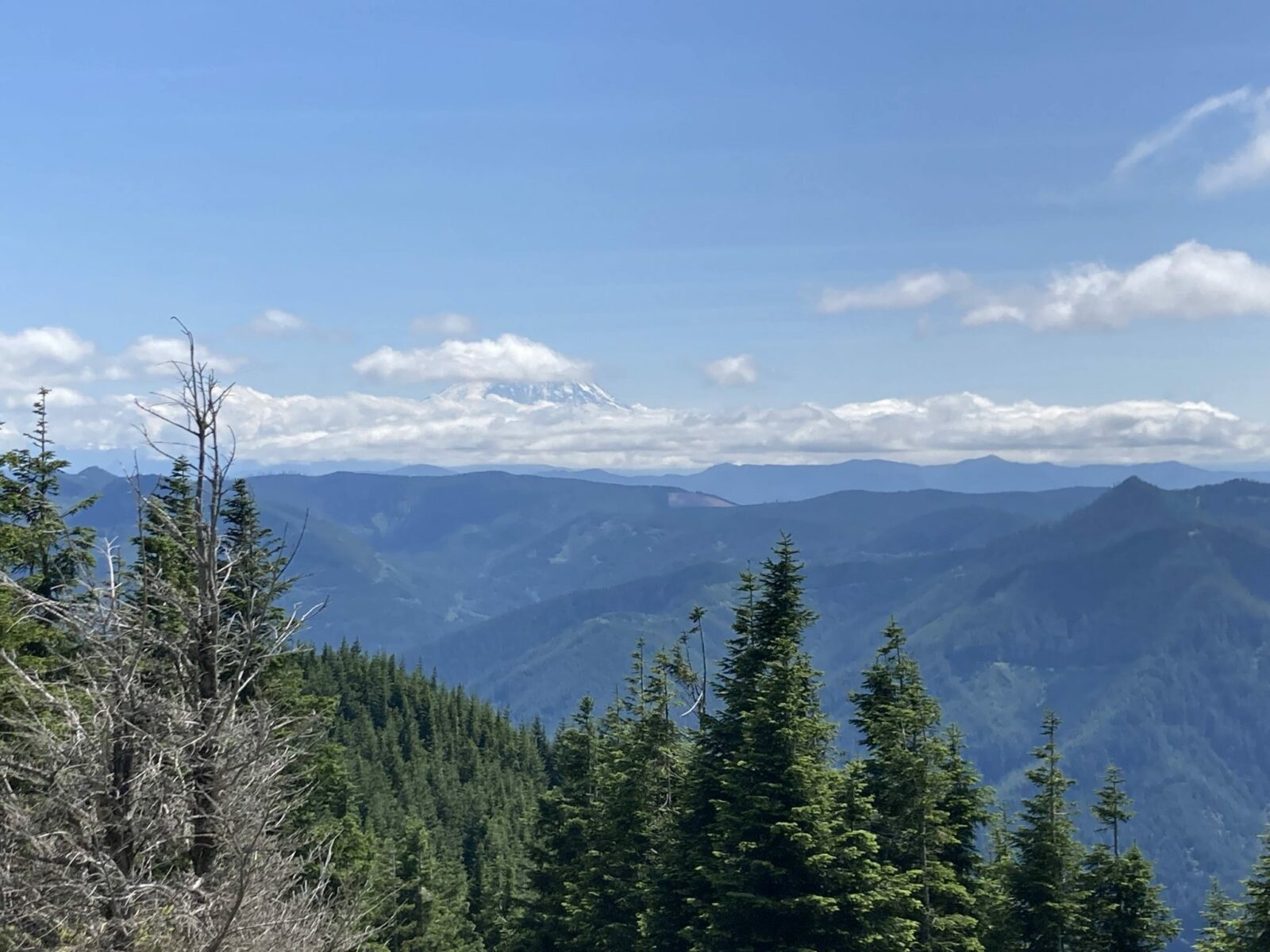 Mt Rainier's summit has clouds around the summit and the base