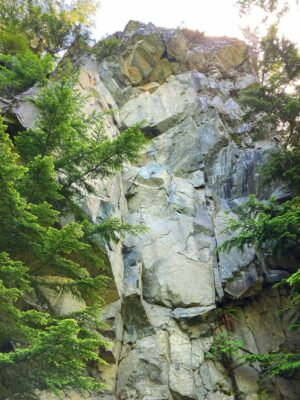 a vertical rock face in a forest, one of many along the Mt Washington trail near Seattle