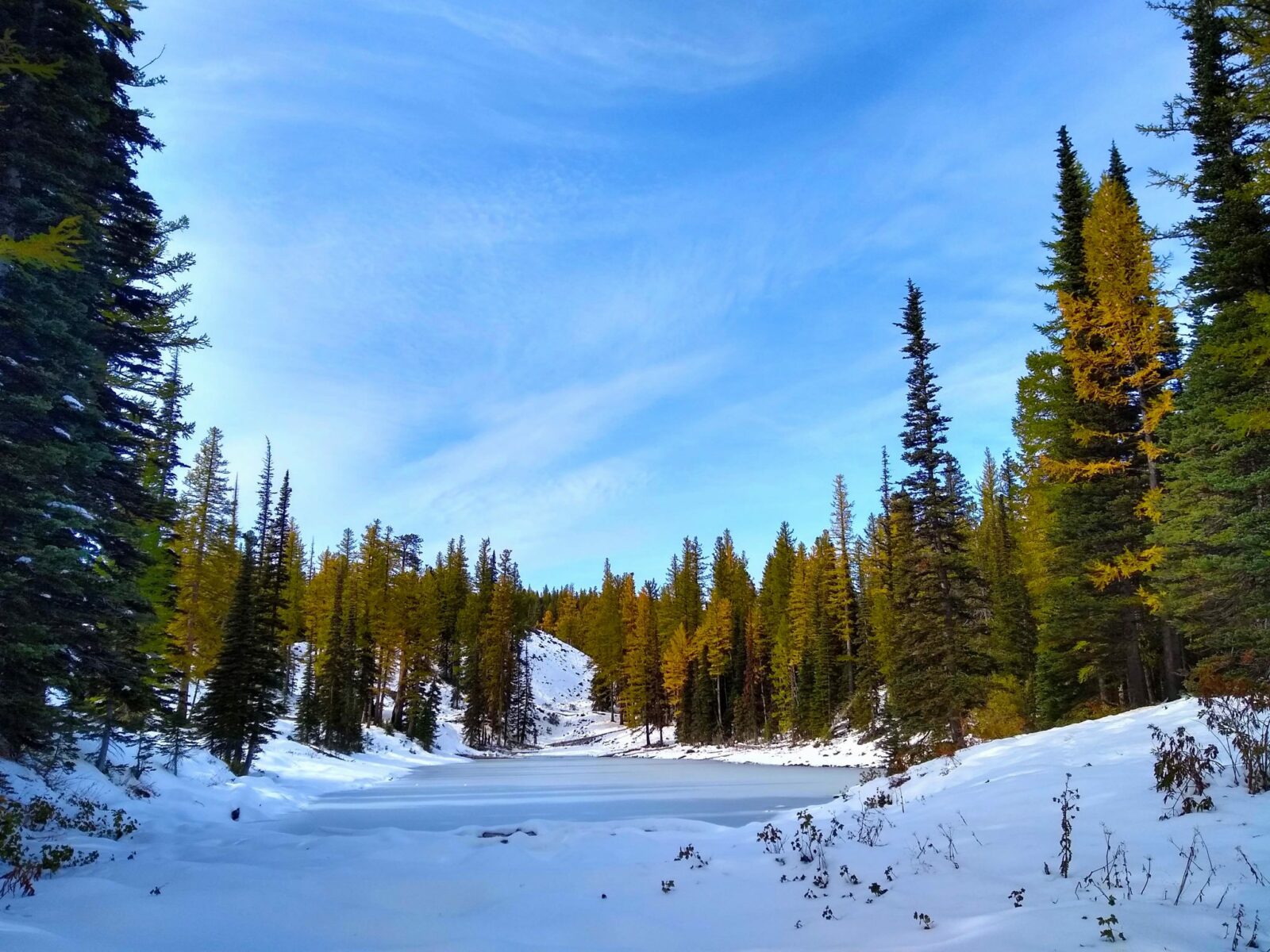 Golden larch trees and evergreen trees surround frozen Lake Clara, a small lake near Wenatchee