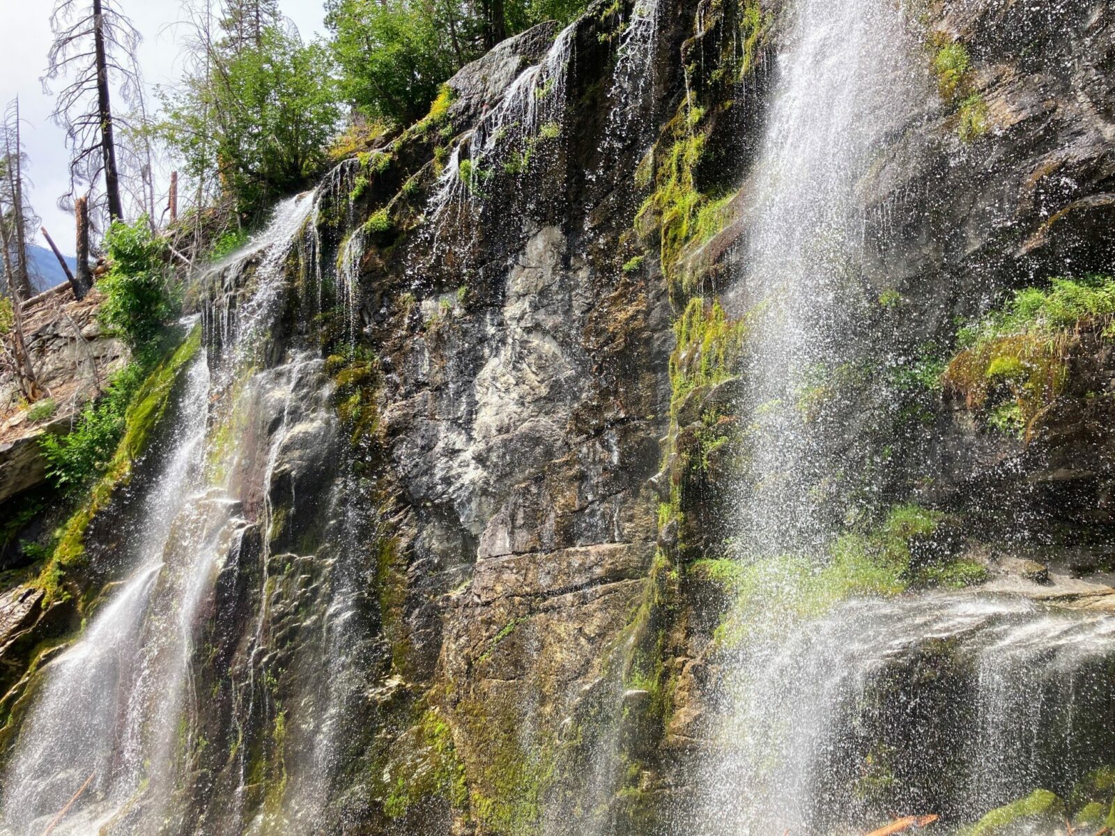 Multiple cascades of Silver Falls tumble down a vertical cliff with occasional moss