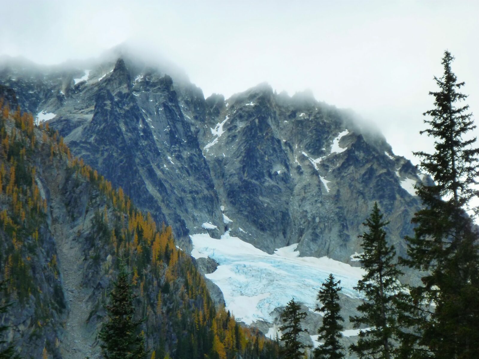 A glacier clings to the side of a high mountain whose top is lost in the clouds. In the foreground are golden larches and evergreen trees.