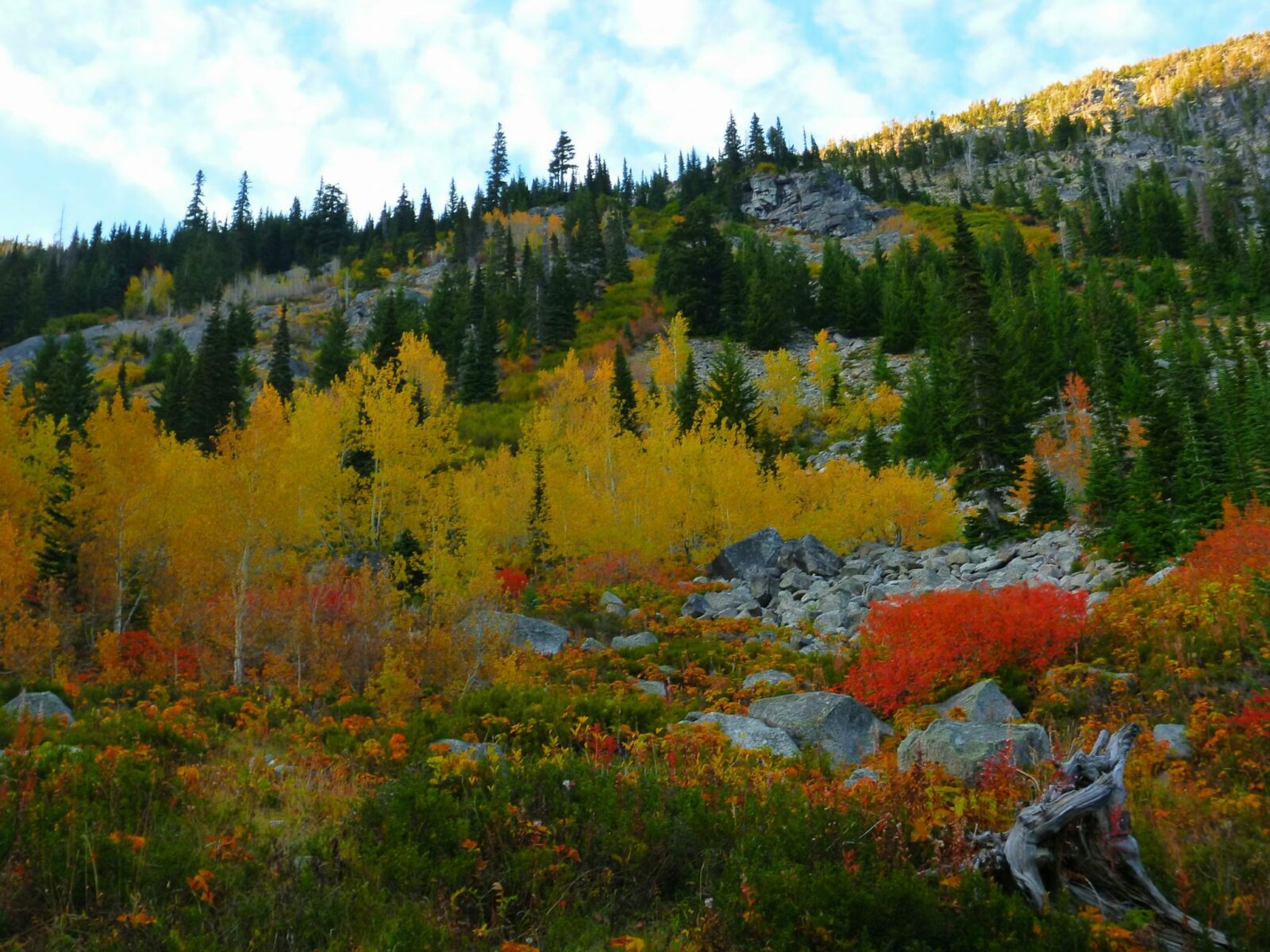 Red, yellow and orange bushes and trees in fall along the open and rocky section of the Lake Stuart trail