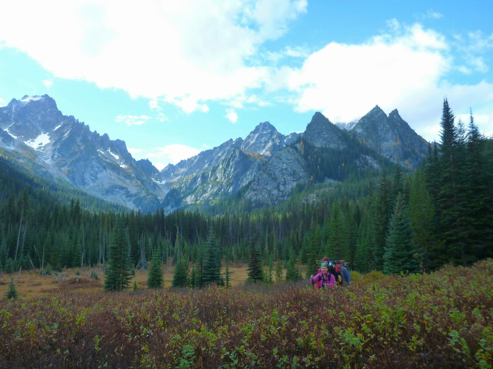 Bushes in the foreground in a meadow surrounded by evergreen trees and high mountains with snow. A group of hikers are going through the meadow