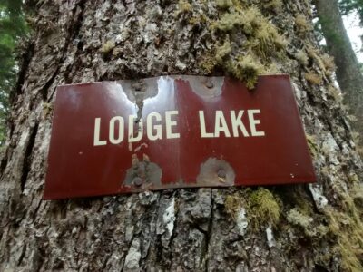A brown sign reading "Lodge Lake" nailed to a tree