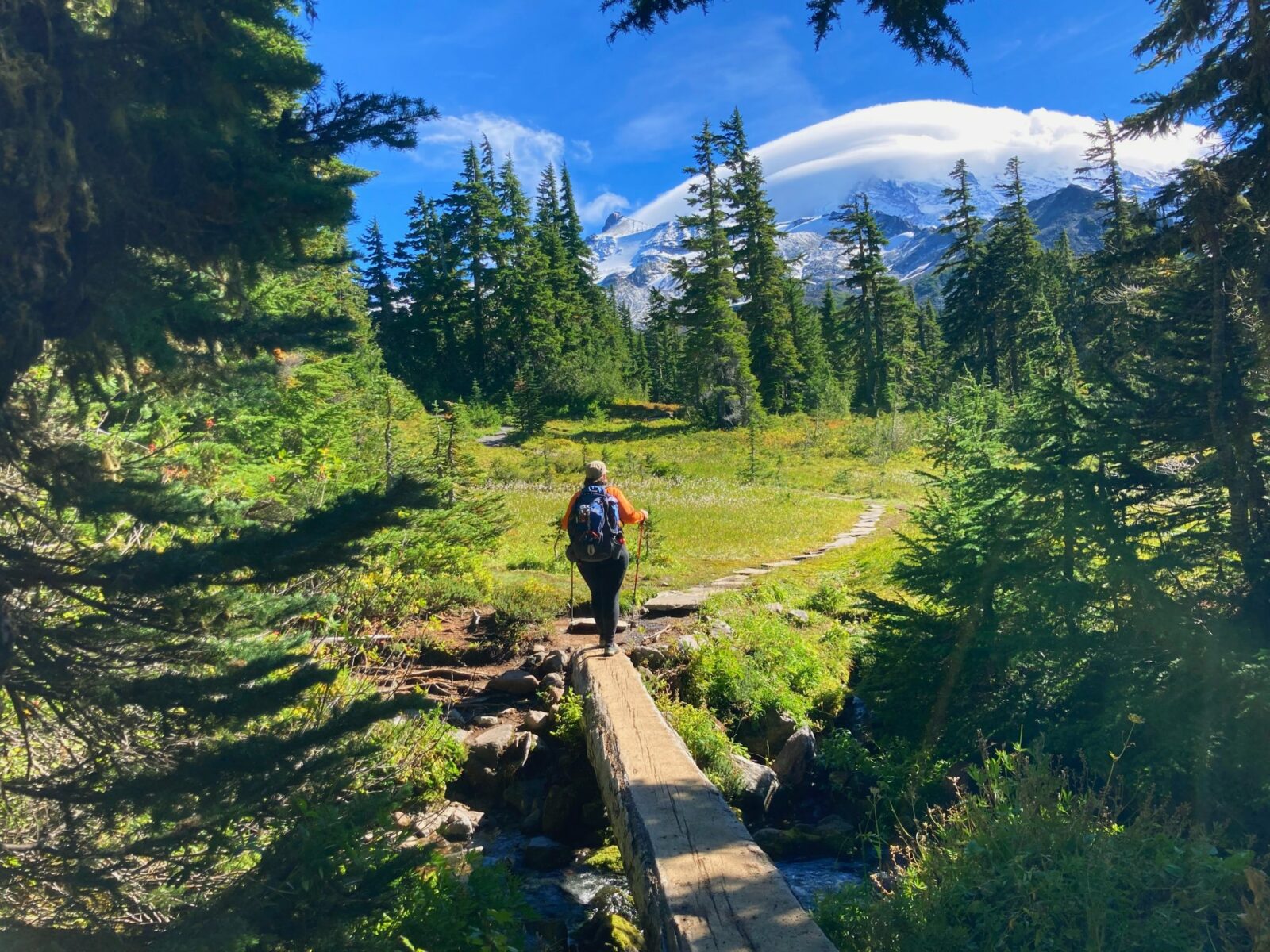 A person with a backpack and hiking poles walking off a log bridge and onto a trail through a wildflower meadow in Spray Park. There are evergreen trees surrounding the meadow and Mt Rainier in the distance has clouds around it's summit.
