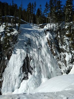 A frozen waterfall on the edge of rocks in Mt Rainier National Park. There are evergreen trees around the waterfall.