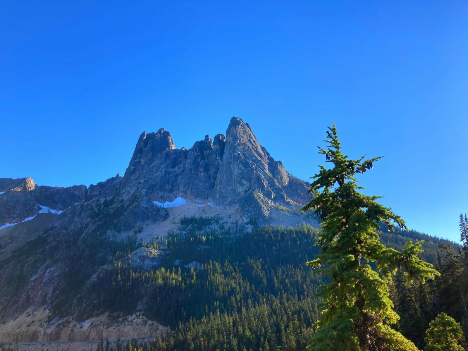 A steep mountain with two steep sides and a lower middle section is seen across the valley on a completely clear day in North Cascades National Park. There are evergreen trees on the side of the mountain and some in the foreground.