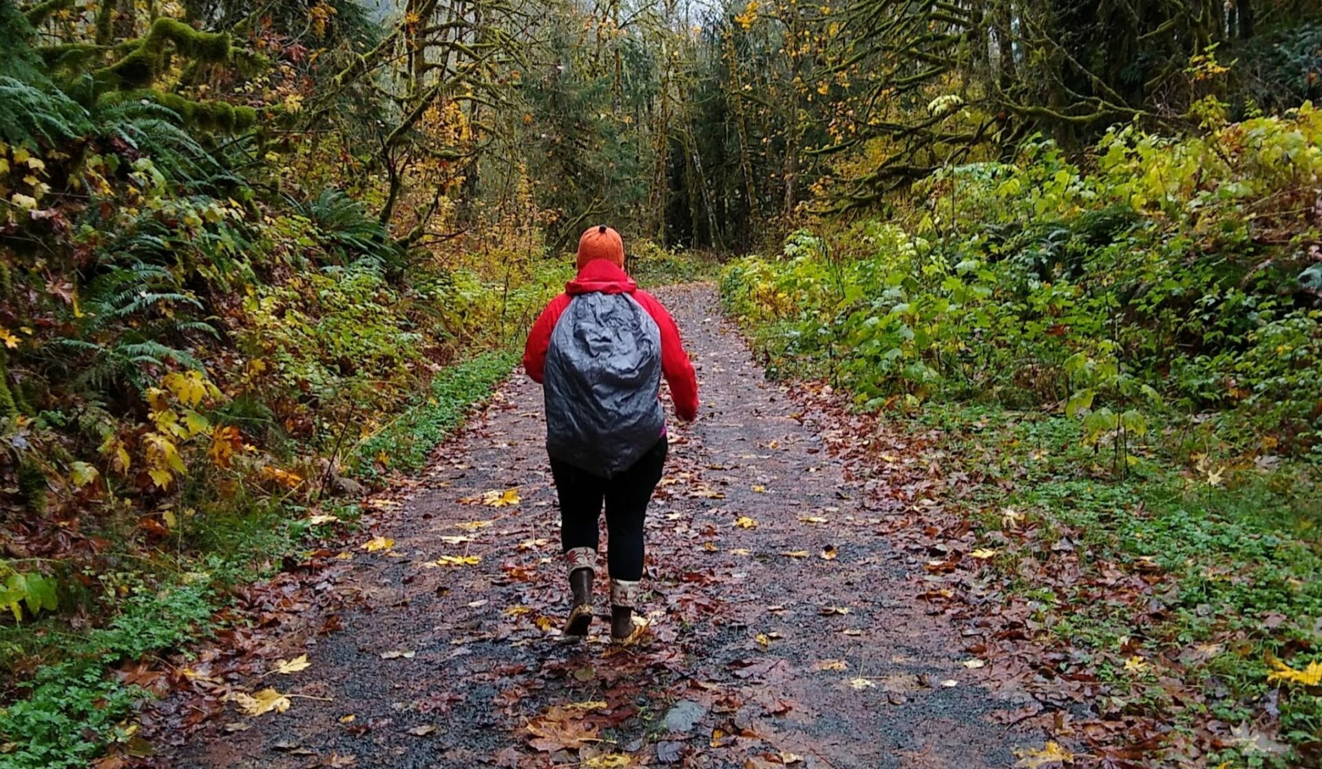 A person on a wet hiking trail in the rain. The person is wearing rubber boots, black leggings, a red rainjacket and an orange hat as well as a backpack with a rain cover. They are walking on a gravel trail with undergrowth and trees on each side