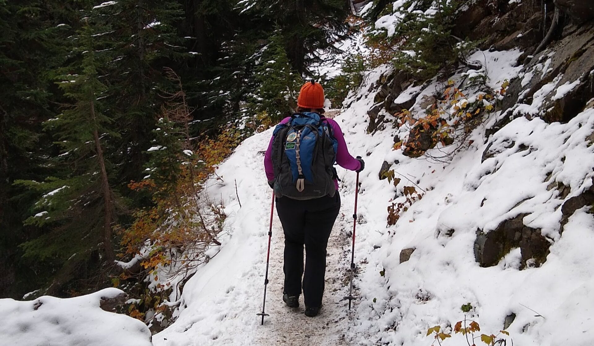 A person on a snowy trail walking away from the camera, wearing an orange hat, purple shirt, black pants and a blue backpack. The person is using trekking poles.