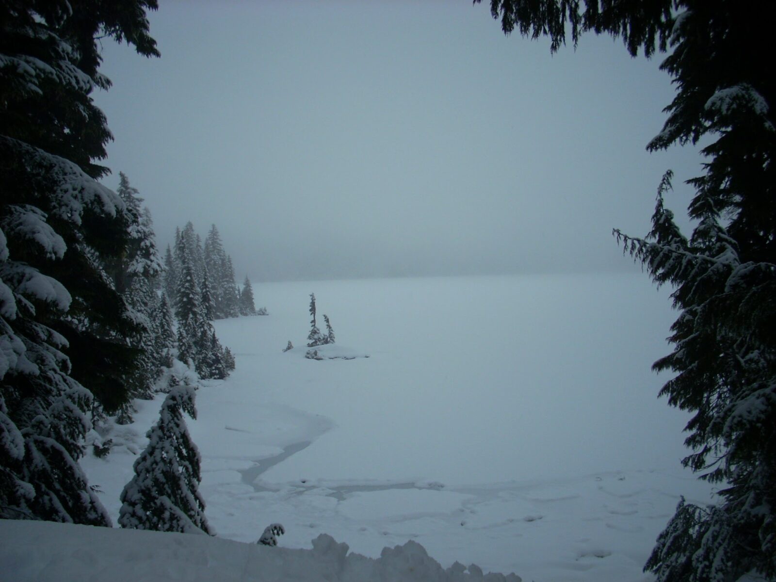 Frozen Mowich Lake in Mt Rainier National Park on a dark and foggy day. The lake is framed by evergreen trees covered in snow.
