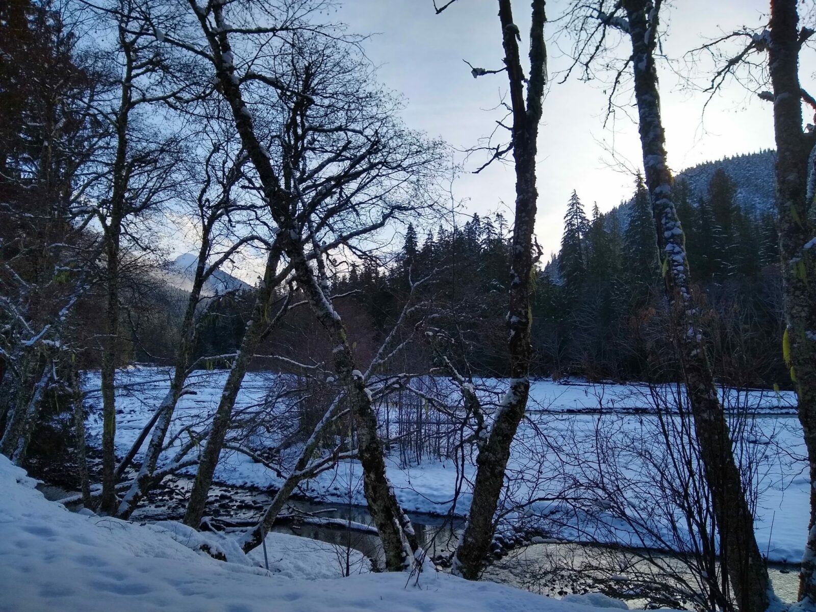 A partially frozen river surrounded by snow and winter trees with a light dusting of snow. It is dusk and there are higher mountains visible in the distance